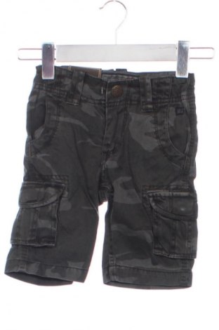 Pantaloni scurți pentru copii Petrol Industries, Mărime 18-24m/ 86-98 cm, Culoare Multicolor, Preț 75,12 Lei