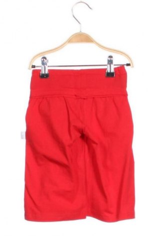 Pantaloni scurți pentru copii Wanex Kids, Mărime 3-4y/ 104-110 cm, Culoare Roșu, Preț 36,49 Lei
