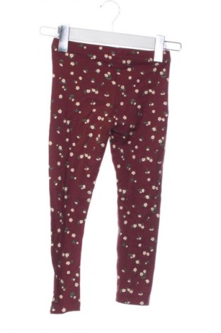 Kinderlegging C&A, Größe 4-5y/ 110-116 cm, Farbe Mehrfarbig, Preis € 6,99