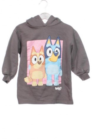 Kinder Sweatshirts Zara, Größe 2-3y/ 98-104 cm, Farbe Mehrfarbig, Preis 7,10 €