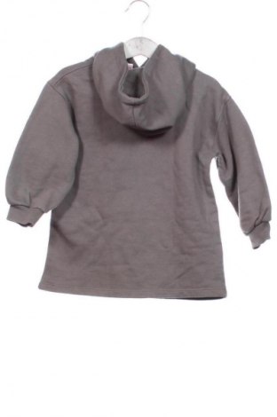 Kinder Sweatshirts Zara, Größe 2-3y/ 98-104 cm, Farbe Mehrfarbig, Preis 7,10 €