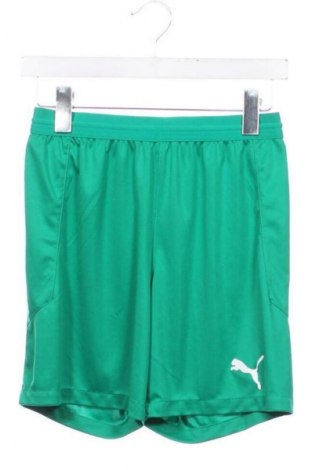 Detské tepláky PUMA, Veľkosť 13-14y/ 164-168 cm, Farba Zelená, Cena  17,00 €