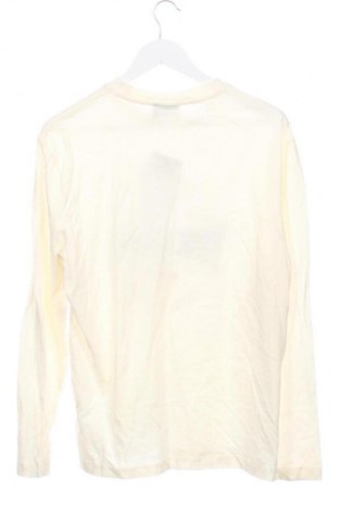 Herren Shirt ASOS, Größe XS, Farbe Ecru, Preis € 8,99