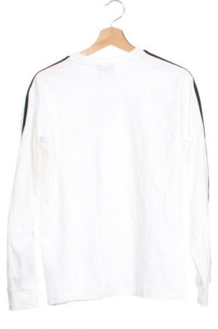 Ανδρική μπλούζα Adidas, Μέγεθος L, Χρώμα Λευκό, Τιμή 20,90 €