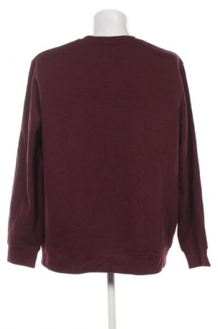 Herren Shirt C&A, Größe XXL, Farbe Lila, Preis € 8,99