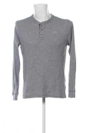 Ανδρική μπλούζα Hollister, Μέγεθος M, Χρώμα Γκρί, Τιμή 11,99 €