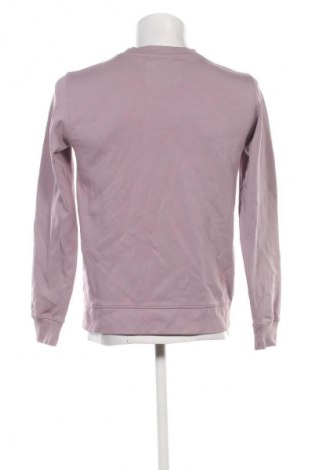 Herren Shirt Paul Hunter, Größe M, Farbe Lila, Preis € 62,99