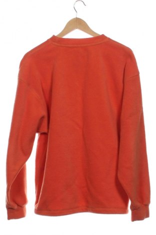 Herren Shirt Peter Storm, Größe S, Farbe Orange, Preis € 20,90