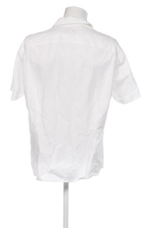 Férfi ing Andrews, Méret XXL, Szín Ekrü
, Ár 7 025 Ft