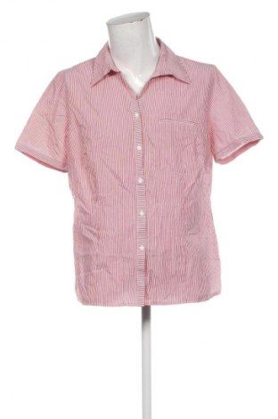 Pánska košeľa  Authentic Clothing Company, Veľkosť M, Farba Viacfarebná, Cena  9,95 €