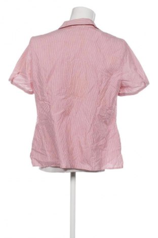 Pánska košeľa  Authentic Clothing Company, Veľkosť M, Farba Viacfarebná, Cena  9,95 €