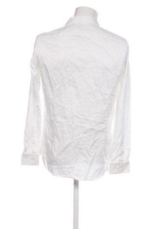 Pánska košeľa  Dressmann, Veľkosť L, Farba Biela, Cena  6,95 €