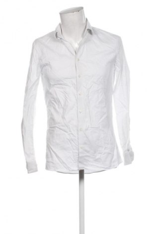 Ανδρικό πουκάμισο Olymp, Μέγεθος M, Χρώμα Πολύχρωμο, Τιμή 15,99 €