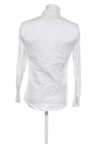 Ανδρικό πουκάμισο Olymp, Μέγεθος M, Χρώμα Πολύχρωμο, Τιμή 15,99 €