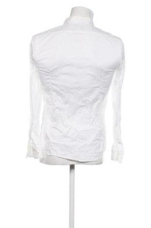 Herrenhemd WE, Größe S, Farbe Weiß, Preis 5,99 €