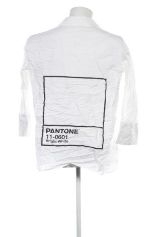 Ανδρικό πουκάμισο Zara, Μέγεθος M, Χρώμα Πολύχρωμο, Τιμή 8,99 €