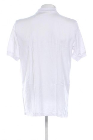 Tricou de bărbați San Marco, Mărime XL, Culoare Alb, Preț 95,99 Lei