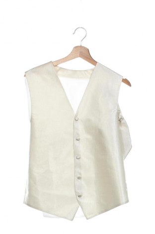 Vestă de bărbați Unbranded, Mărime L, Culoare Ecru, Preț 70,00 Lei