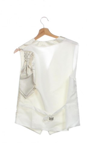 Vestă de bărbați Unbranded, Mărime L, Culoare Ecru, Preț 70,00 Lei