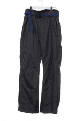 Ανδρική σαλοπέτα για χειμερινά σπορ Crane, Μέγεθος M, Χρώμα Γκρί, Τιμή 24,99 €