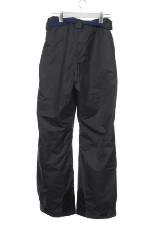 Ανδρική σαλοπέτα για χειμερινά σπορ Crane, Μέγεθος M, Χρώμα Γκρί, Τιμή 24,99 €