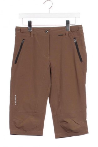 Herren Shorts Icepeak, Größe S, Farbe Braun, Preis 16,99 €