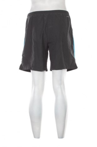 Pánske kraťasy  Nike, Veľkosť S, Farba Sivá, Cena  16,95 €