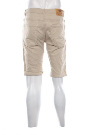 Мъжки къс панталон Petrol Industries, Размер L, Цвят Зелен, Цена 10,73 €