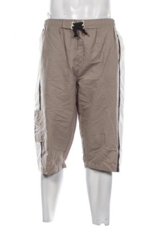 Ανδρικό κοντό παντελόνι Unbranded, Μέγεθος L, Χρώμα  Μπέζ, Τιμή 10,00 €