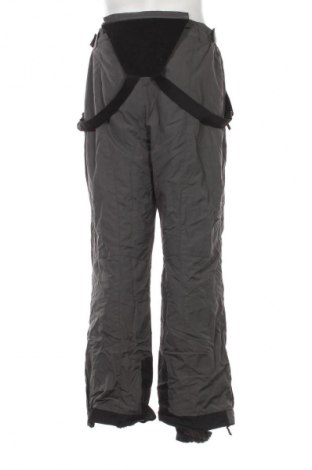 Ανδρικό παντελόνι για χειμερινά σπορ Unbranded, Μέγεθος L, Χρώμα Γκρί, Τιμή 20,99 €