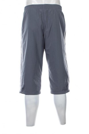 Pánské tepláky  Adidas, Velikost S, Barva Šedá, Cena  539,00 Kč