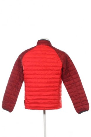 Herrenjacke Jack Wolfskin, Größe L, Farbe Mehrfarbig, Preis 50,99 €