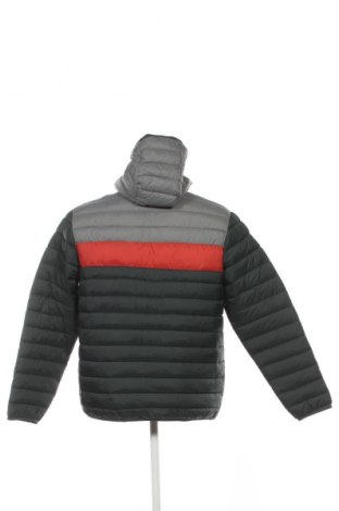 Herrenjacke Oliver Jacob, Größe L, Farbe Grün, Preis 51,99 €