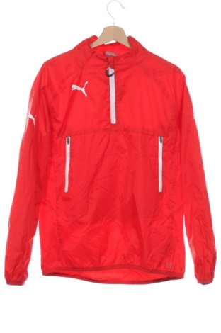 Herrenjacke PUMA, Größe S, Farbe Rot, Preis 30,99 €