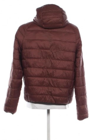 Herrenjacke Primark, Größe L, Farbe Braun, Preis 27,99 €