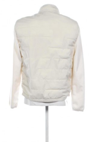 Pánská bunda  Zara, Velikost L, Barva Béžová, Cena  595,00 Kč