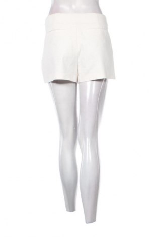 Παντελονόφουστα Zara, Μέγεθος M, Χρώμα Λευκό, Τιμή 10,00 €