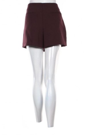 Sukňa- nohavice  Zara, Veľkosť XL, Farba Červená, Cena  7,95 €