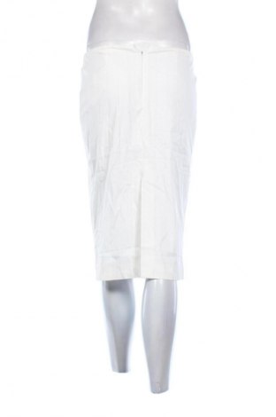 Sukňa Massimo Dutti, Veľkosť M, Farba Viacfarebná, Cena  28,00 €