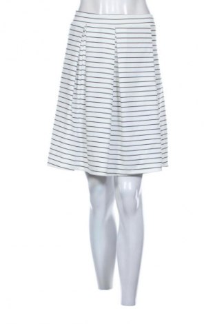 Φούστα Mshll Girl, Μέγεθος XL, Χρώμα Πολύχρωμο, Τιμή 9,70 €