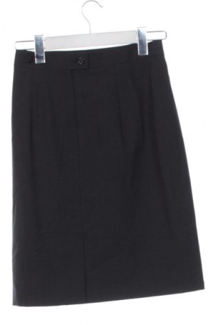 Φούστα Unbranded, Μέγεθος XS, Χρώμα Μαύρο, Τιμή 9,99 €