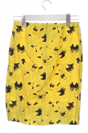 Fustă Unbranded, Mărime XS, Culoare Multicolor, Preț 51,00 Lei