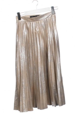 Rock Zara, Größe XXS, Farbe Golden, Preis € 13,99