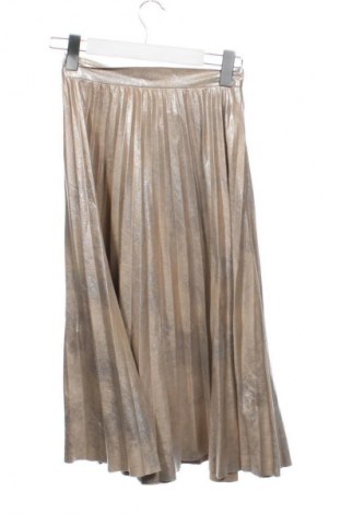 Rock Zara, Größe XXS, Farbe Golden, Preis € 13,99