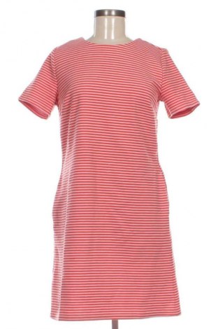 Kleid Ann Taylor, Größe L, Farbe Mehrfarbig, Preis 17,99 €