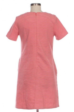 Kleid Ann Taylor, Größe L, Farbe Mehrfarbig, Preis 17,99 €