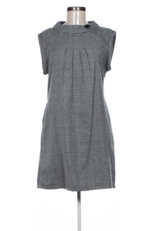 Φόρεμα Apricot, Μέγεθος M, Χρώμα Πολύχρωμο, Τιμή 9,99 €