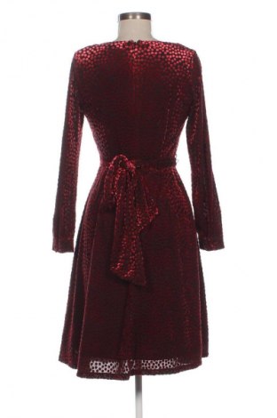 Kleid Calvin Klein, Größe S, Farbe Mehrfarbig, Preis 62,92 €