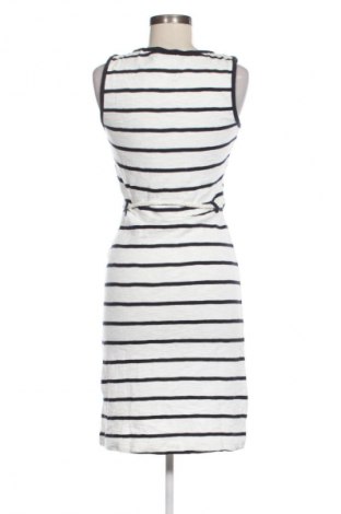 Kleid Gaastra, Größe XS, Farbe Mehrfarbig, Preis € 28,99