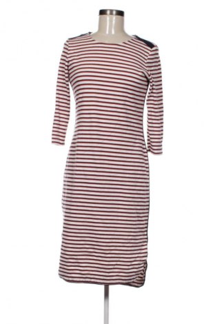 Kleid Jake*s, Größe S, Farbe Mehrfarbig, Preis 13,99 €